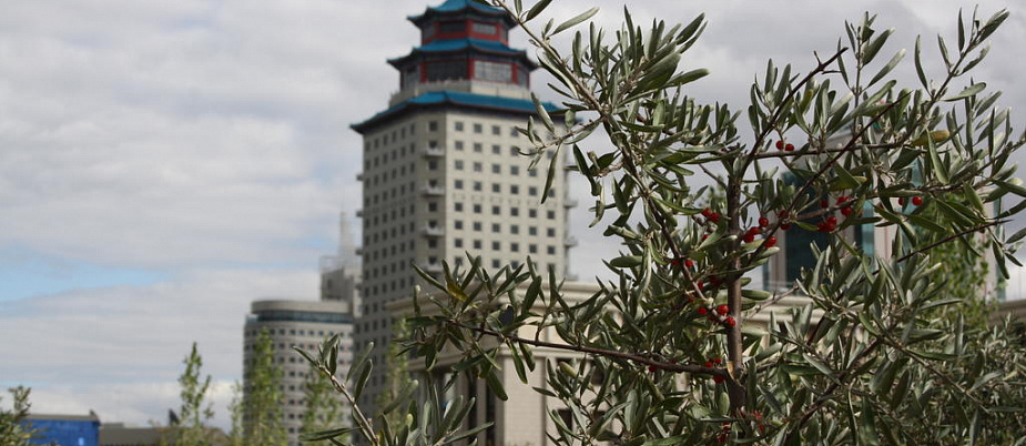 "ПЕКИН ПАЛАС SOLUXE HOTEL ASTANA" 5*